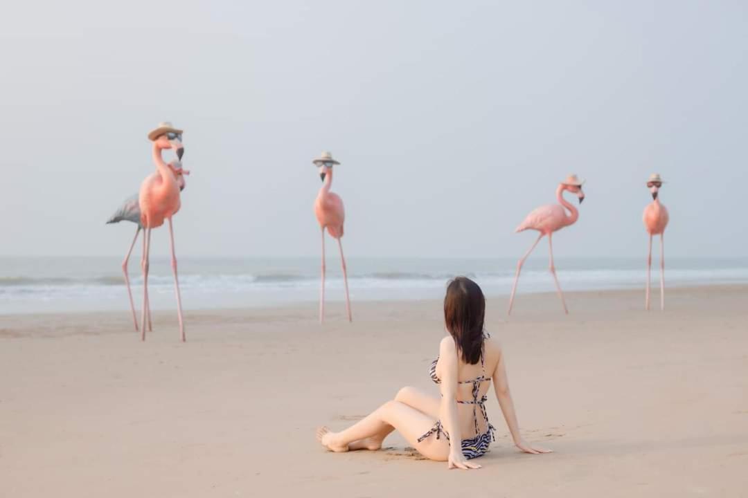 Ib306 Tu Doanh - Flamingo Hai Tien Thanh Hóa Extérieur photo